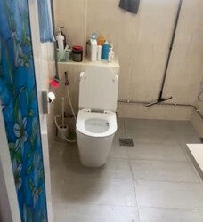 Camellia Lodge (D14), Apartment #504564411